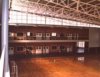 Polideportivo